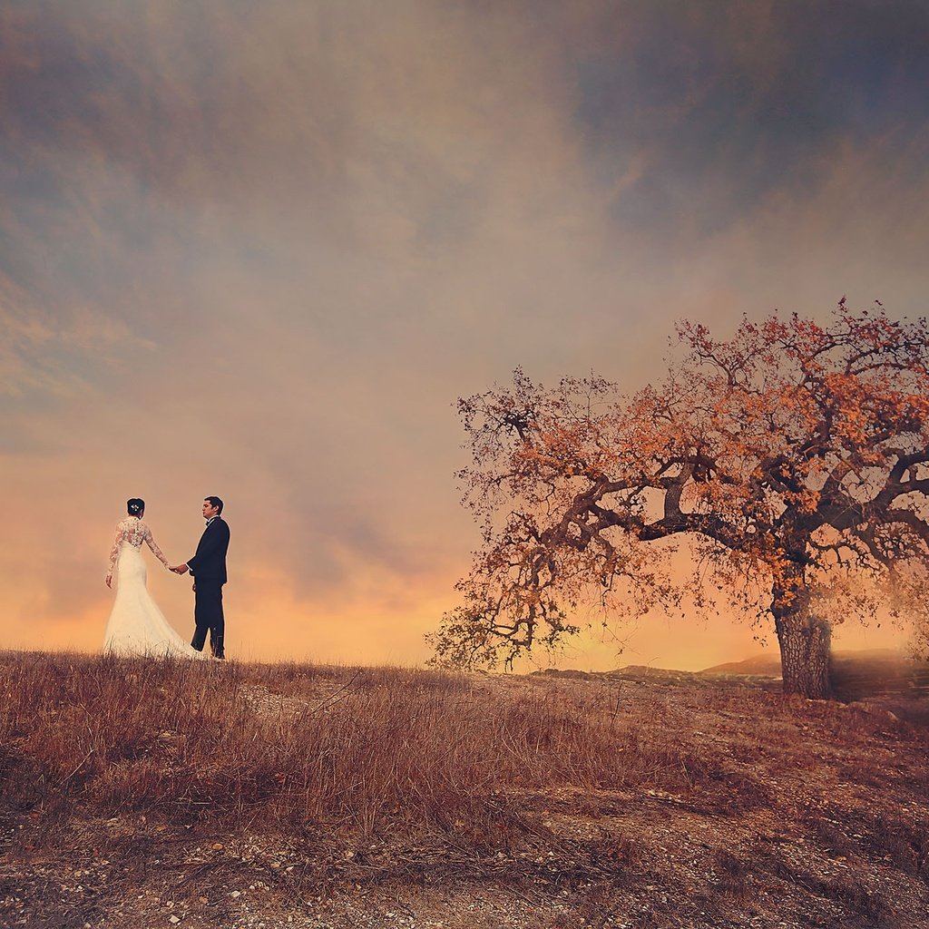 Обои небо, дерево, поле, пара, жених, невеста, свадебное платье, the sky, tree, field, pair, the groom, the bride, wedding dress разрешение 2048x1408 Загрузить