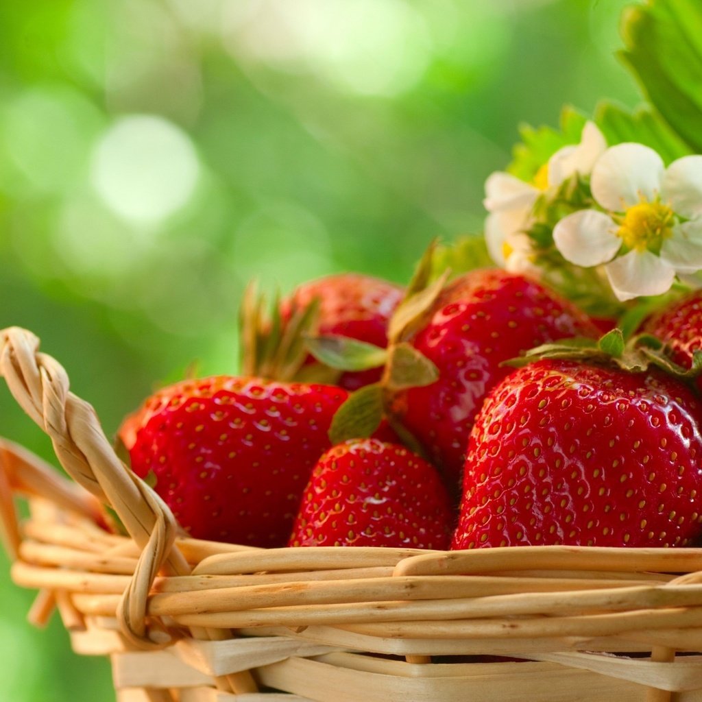 Обои цветы, листья, клубника, ягоды, корзинка, flowers, leaves, strawberry, berries, basket разрешение 1920x1274 Загрузить