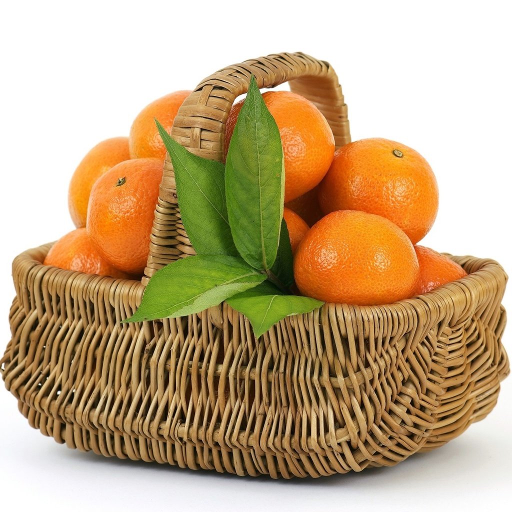 Обои листья, фрукты, апельсины, корзина, цитрусы, leaves, fruit, oranges, basket, citrus разрешение 1920x1280 Загрузить