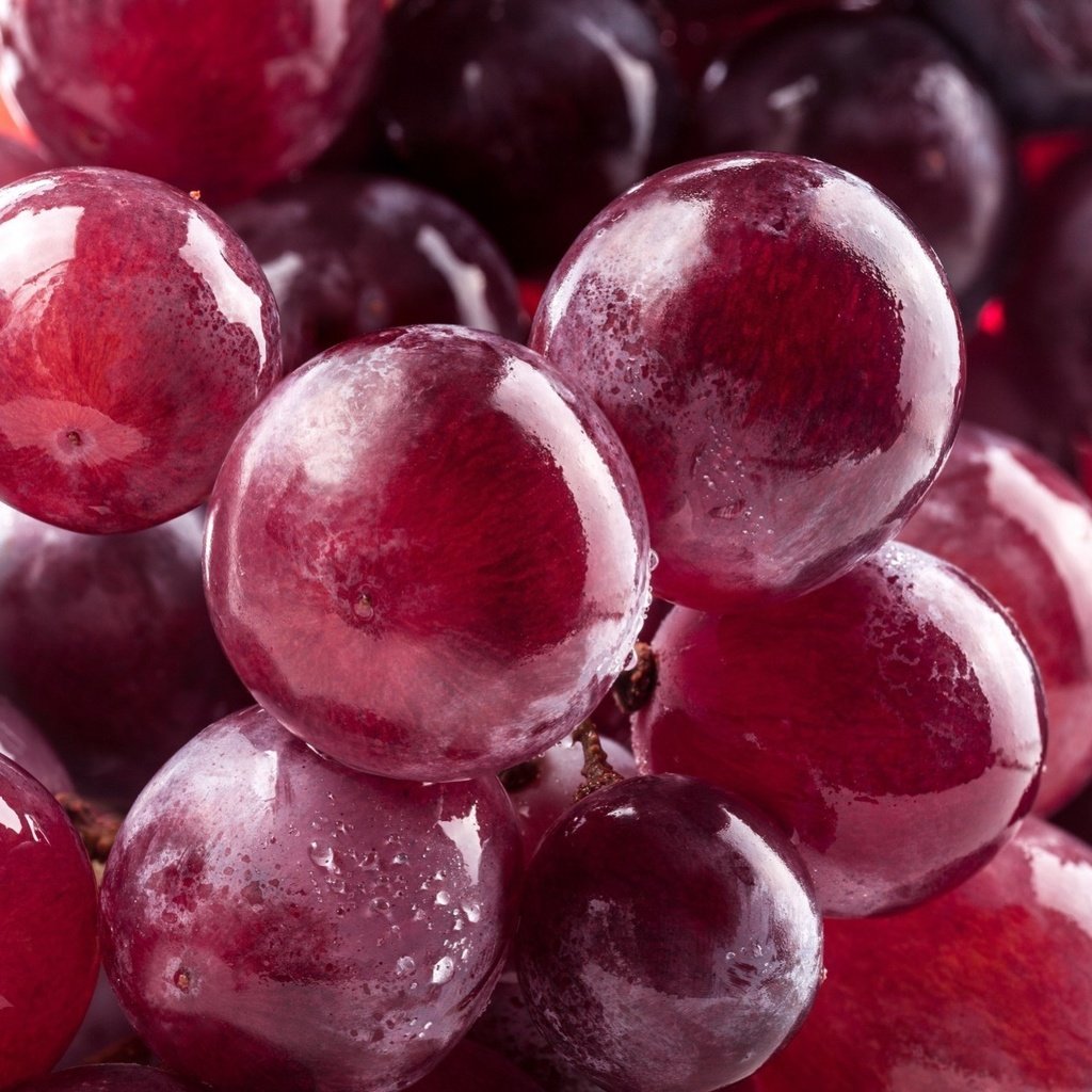 Обои макро, виноград, капли, воды, красный, ягоды, macro, grapes, drops, water, red, berries разрешение 1920x1355 Загрузить
