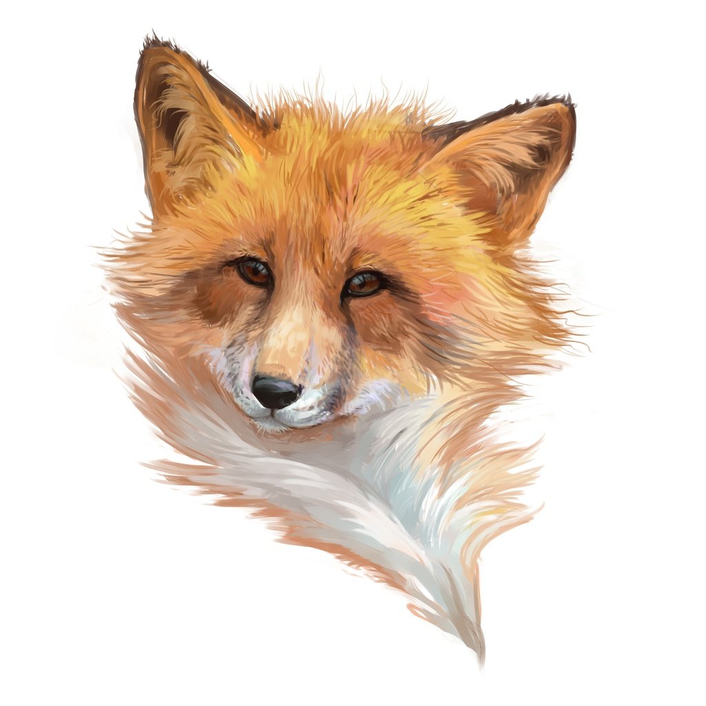 Обои морда, арт, лиса, минимализм, лисица, белый фон, лис, face, art, fox, minimalism, white background разрешение 9600x6000 Загрузить