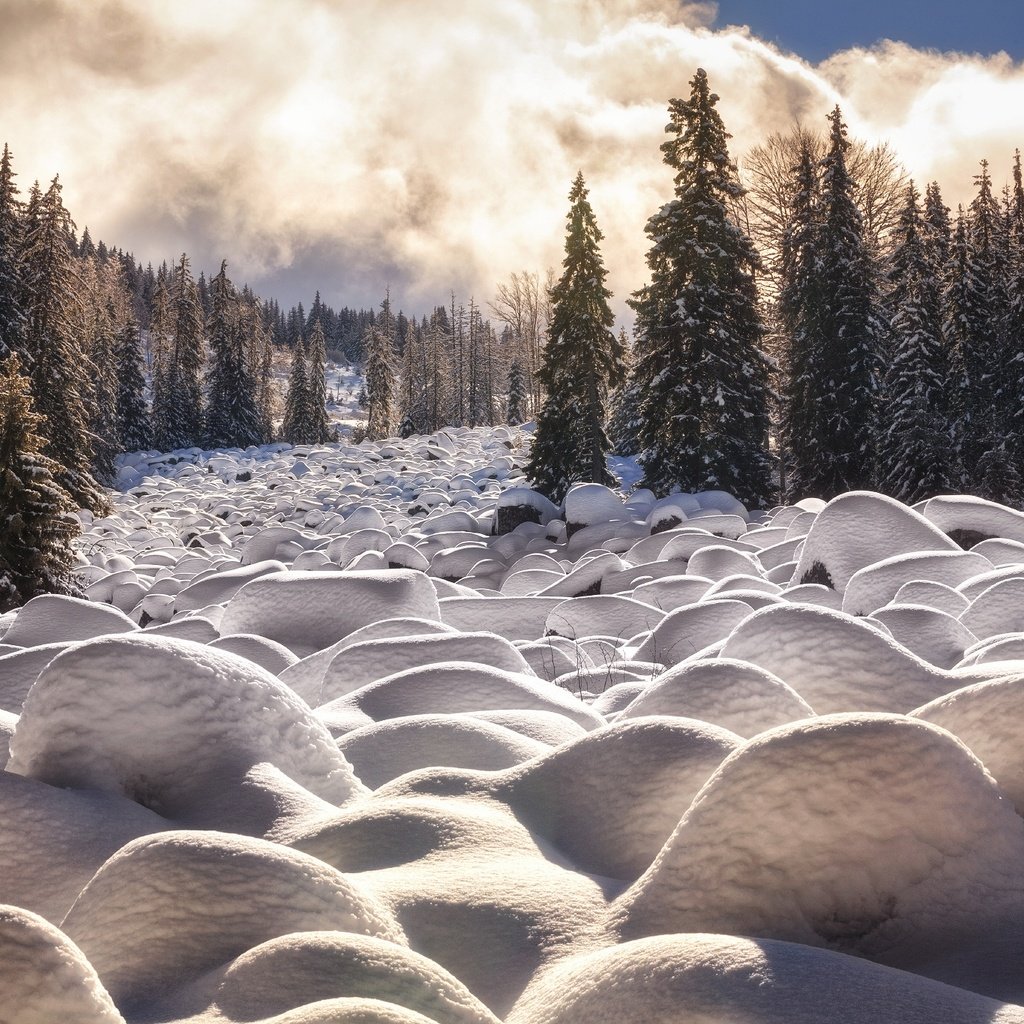 Обои облака, деревья, снег, камни, лес, зима, winter cascade, martin stantchev, clouds, trees, snow, stones, forest, winter разрешение 2048x1365 Загрузить