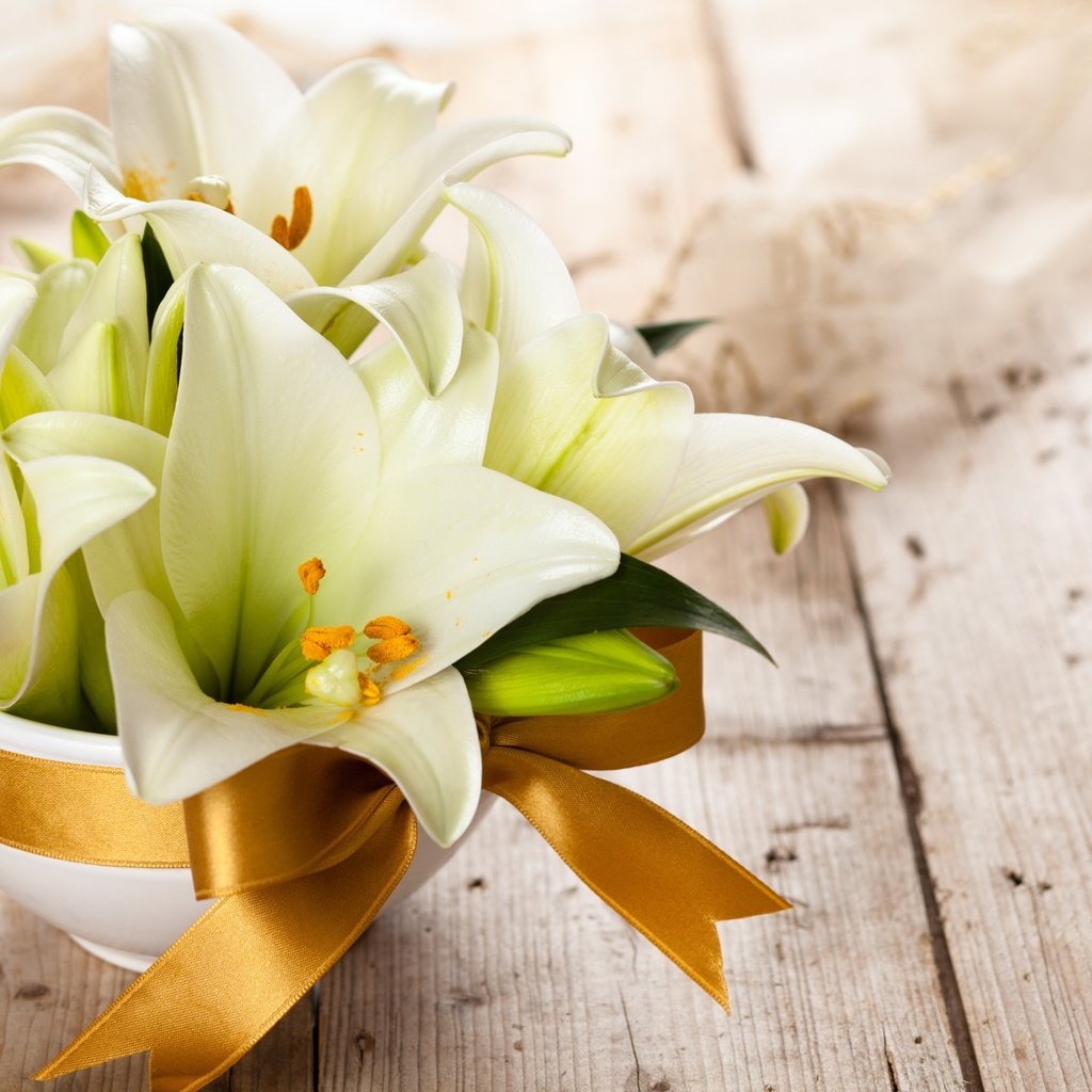 Обои цветы, букет, белые, лилии, flowers, bouquet, white, lily разрешение 2048x1365 Загрузить