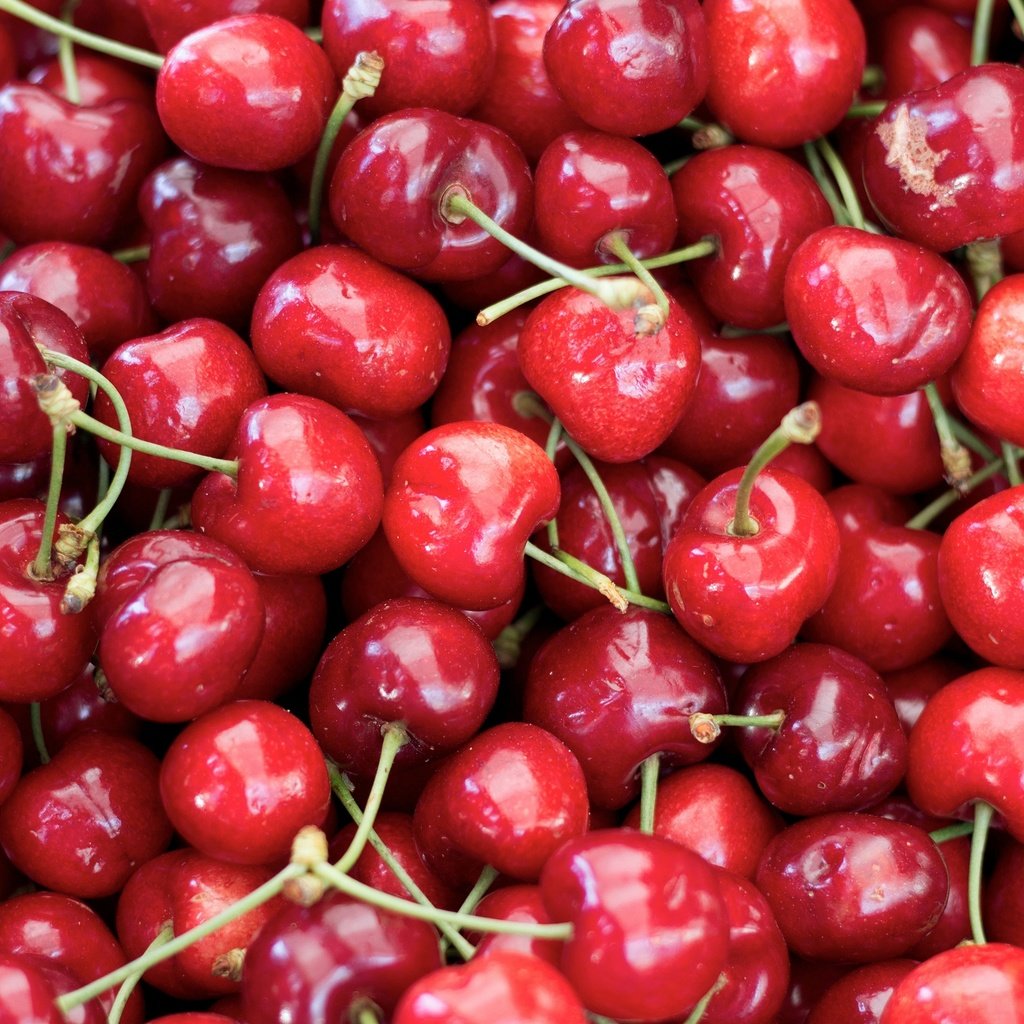 Обои черешня, спелая, ягоды, вишня, сочная, cherry, ripe, berries, juicy разрешение 3500x2501 Загрузить