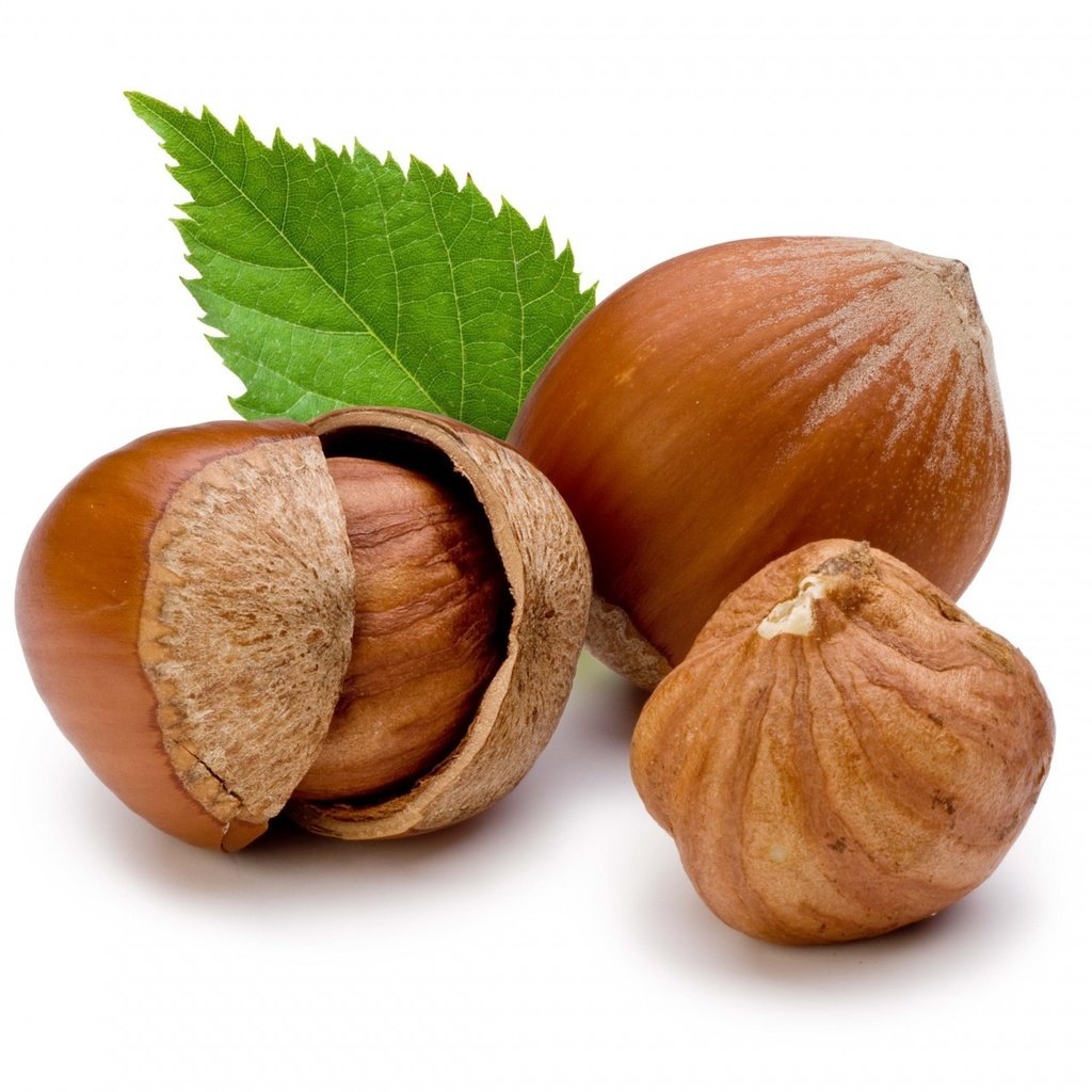 Обои орехи, белый фон, листик, фундук, лесной орех, nuts, white background, leaf, hazelnuts, hazelnut разрешение 1920x1280 Загрузить