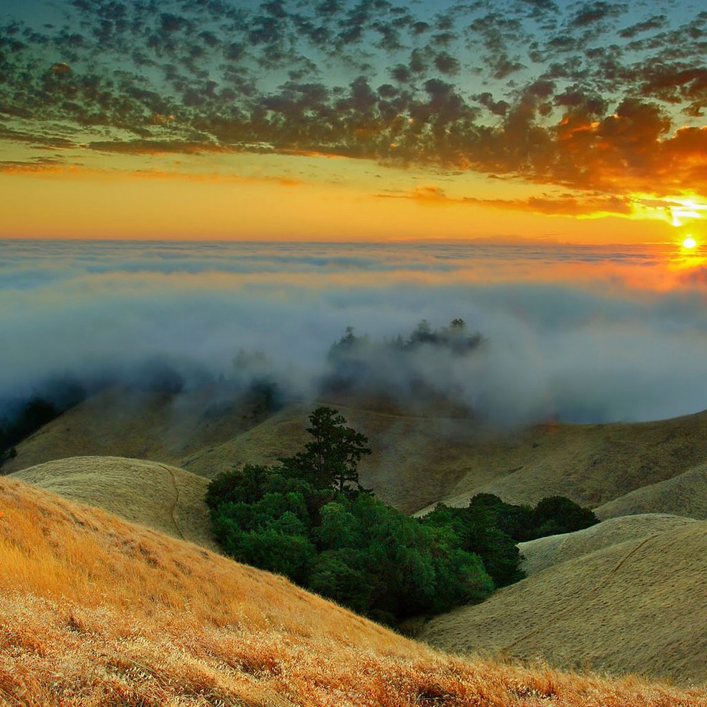 Обои небо, облака, деревья, горы, закат, туман, the sky, clouds, trees, mountains, sunset, fog разрешение 1920x1200 Загрузить