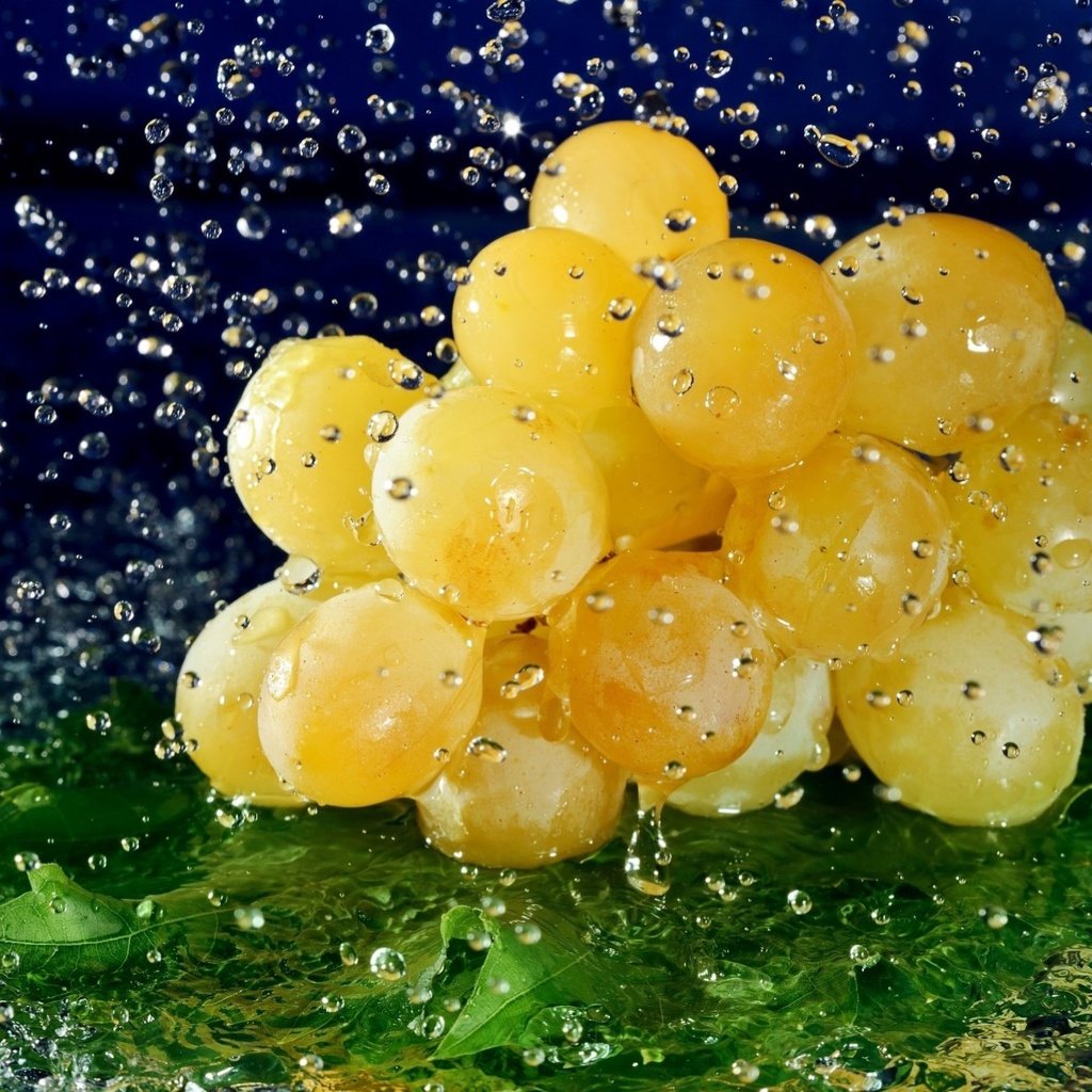 Обои вода, виноград, капли, ягода, лист, гроздь, water, grapes, drops, berry, sheet, bunch разрешение 1920x1253 Загрузить