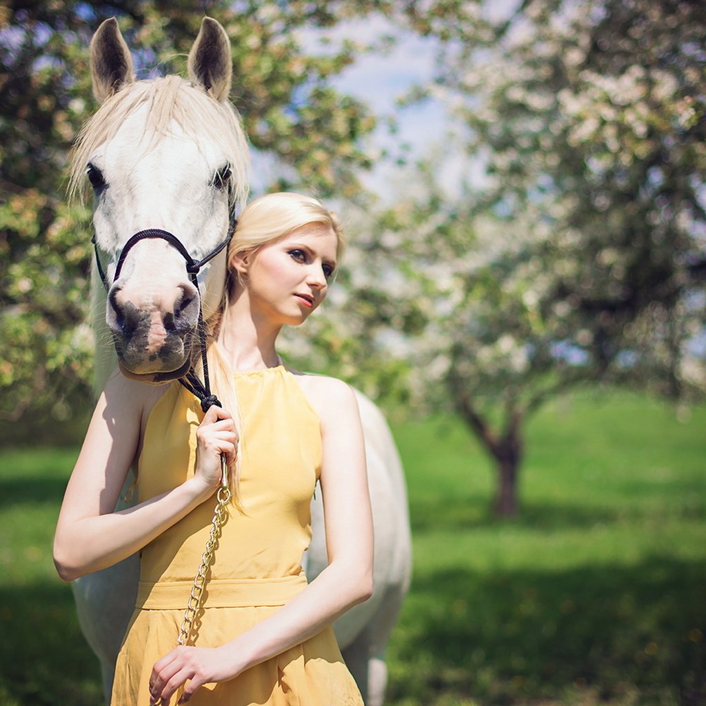 Обои лошадь, платье, блондинка, сад, horse, dress, blonde, garden разрешение 1920x1200 Загрузить