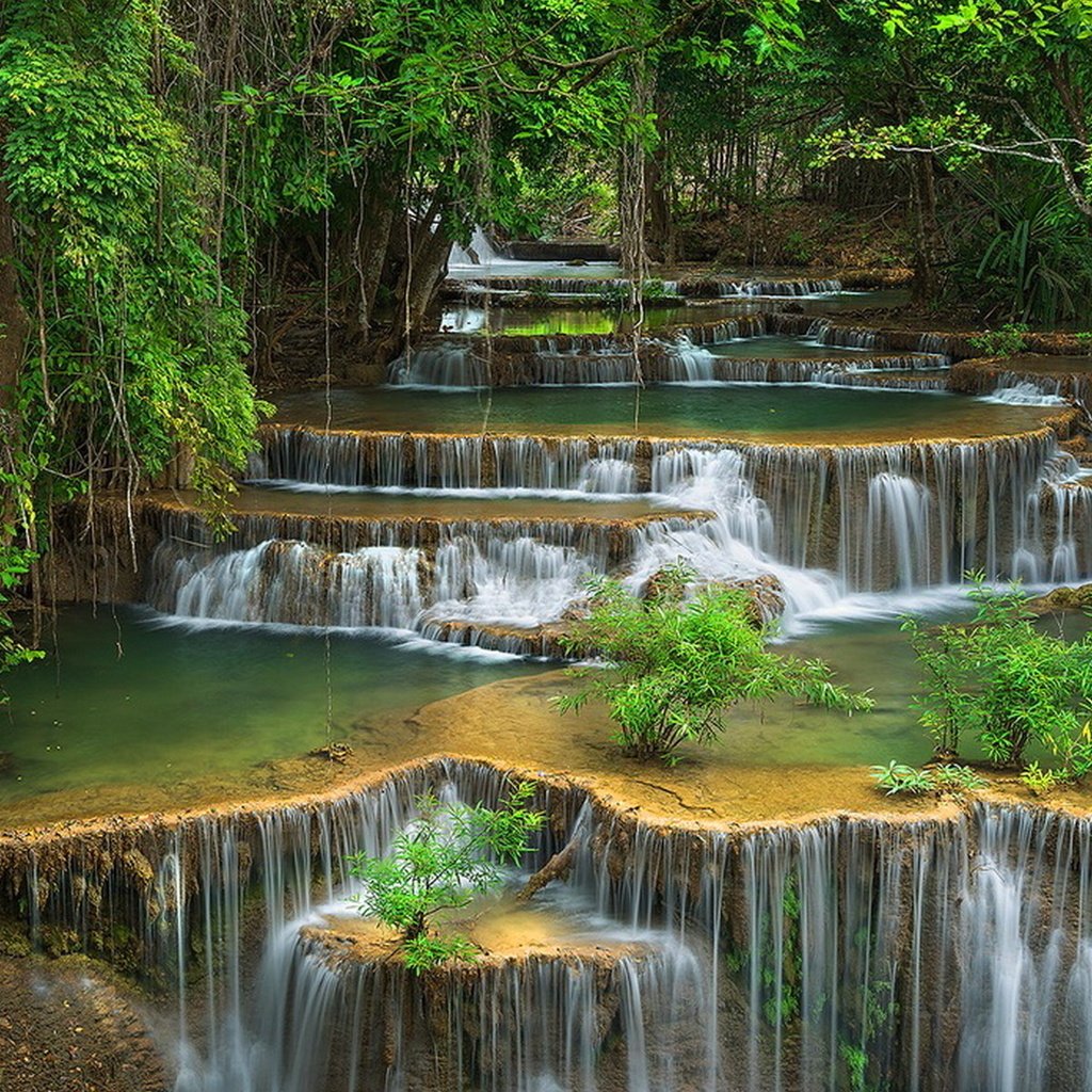 Обои зелень, лес, водопад, красота, поток, каскад, дремучий, greens, forest, waterfall, beauty, stream, cascade, dense разрешение 1920x1200 Загрузить