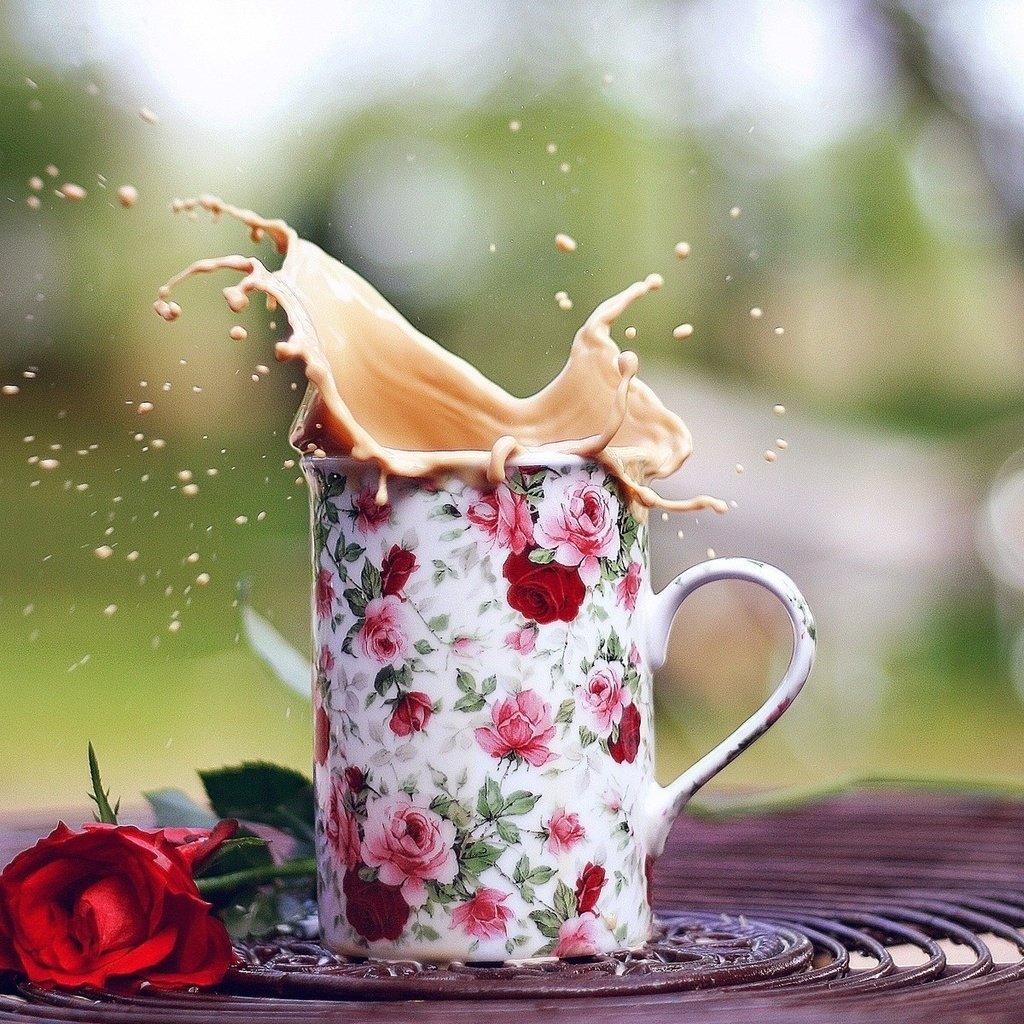 Обои роза, кофе, брызги, кружка, настроения, чашка, розочка, rose, coffee, squirt, mug, mood, cup, rosette разрешение 1920x1200 Загрузить