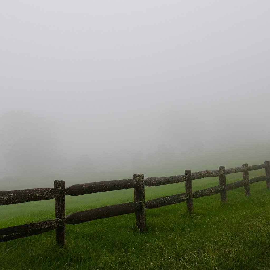 Обои трава, туман, поле, забор, ограждение, мгла, grass, fog, field, the fence, haze разрешение 2560x1600 Загрузить