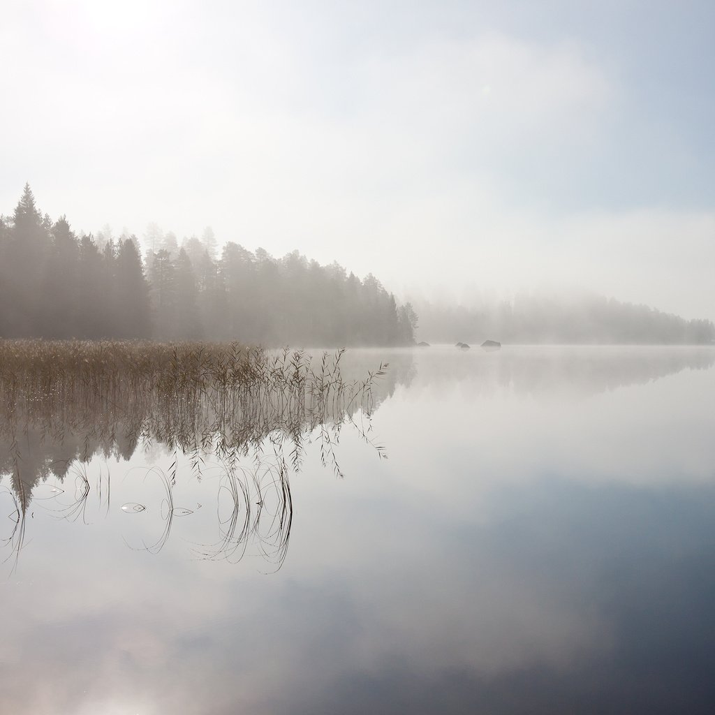 Обои небо, деревья, река, отражение, пейзаж, туман, the sky, trees, river, reflection, landscape, fog разрешение 3360x2100 Загрузить