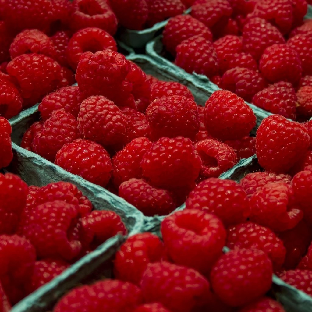 Обои макро, малина, ягоды, много, маалина, macro, raspberry, berries, a lot, malina разрешение 1920x1200 Загрузить