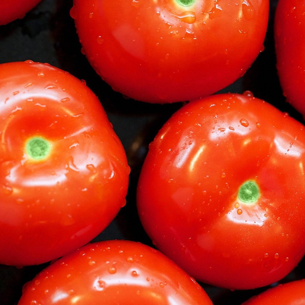 Обои капли, овощи, помидоры, томат, drops, vegetables, tomatoes, tomato разрешение 2560x1440 Загрузить
