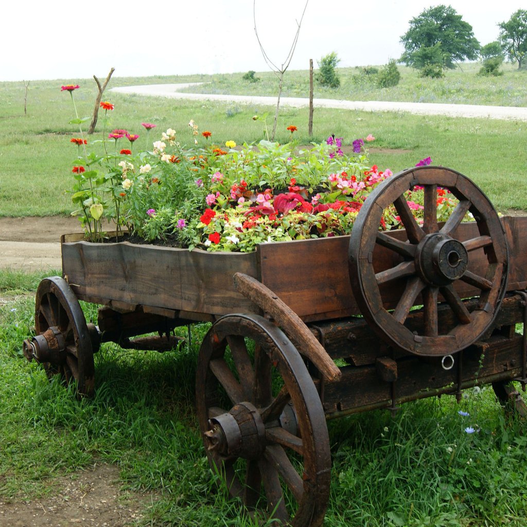 Обои цветы, природа, поле, телега, flowers, nature, field, cart разрешение 2560x1600 Загрузить