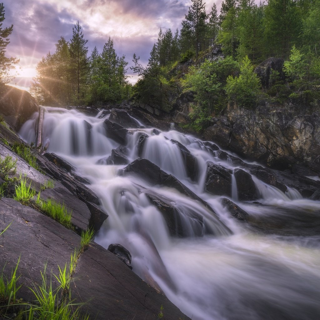 Обои деревья, река, скалы, камни, водопад, норвегия, каскад, рингерике, trees, river, rocks, stones, waterfall, norway, cascade, ringerike разрешение 2880x1922 Загрузить