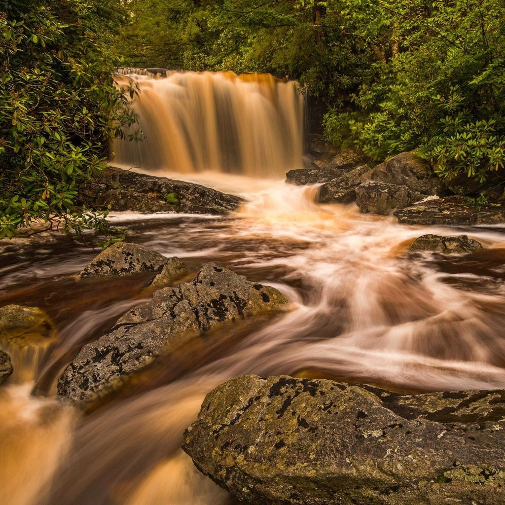 Обои деревья, река, природа, камни, скала, водопад, поток, trees, river, nature, stones, rock, waterfall, stream разрешение 2048x1365 Загрузить