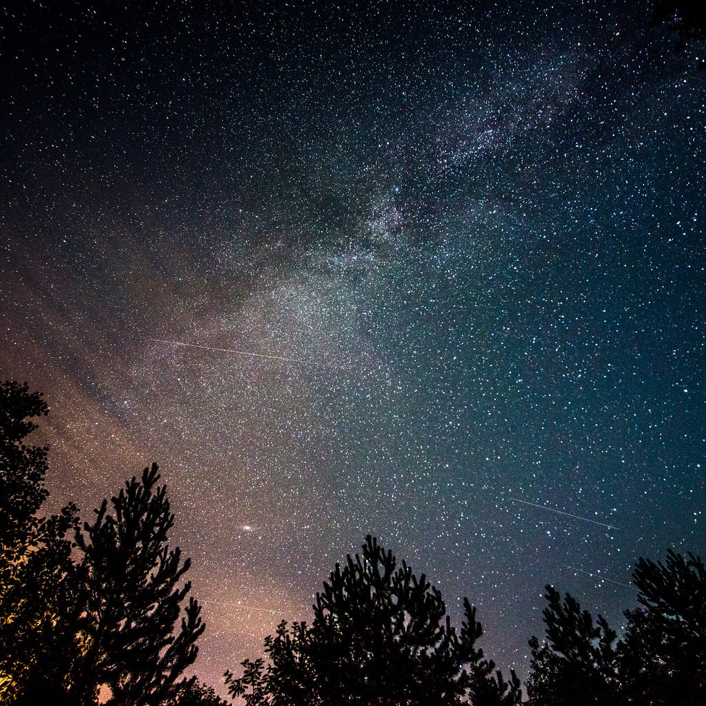 Обои ночь, деревья, космос, звезды, млечный путь, night, trees, space, stars, the milky way разрешение 2048x1367 Загрузить