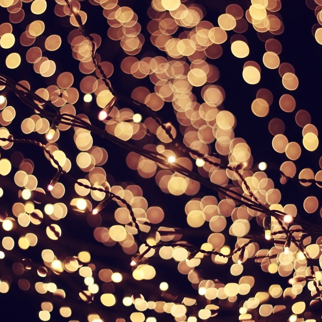 Обои свет, боке, ночь, огни, вечер, новый год, праздники, рождество, гирлянда, light, bokeh, night, lights, the evening, new year, holidays, christmas, garland разрешение 2048x1365 Загрузить