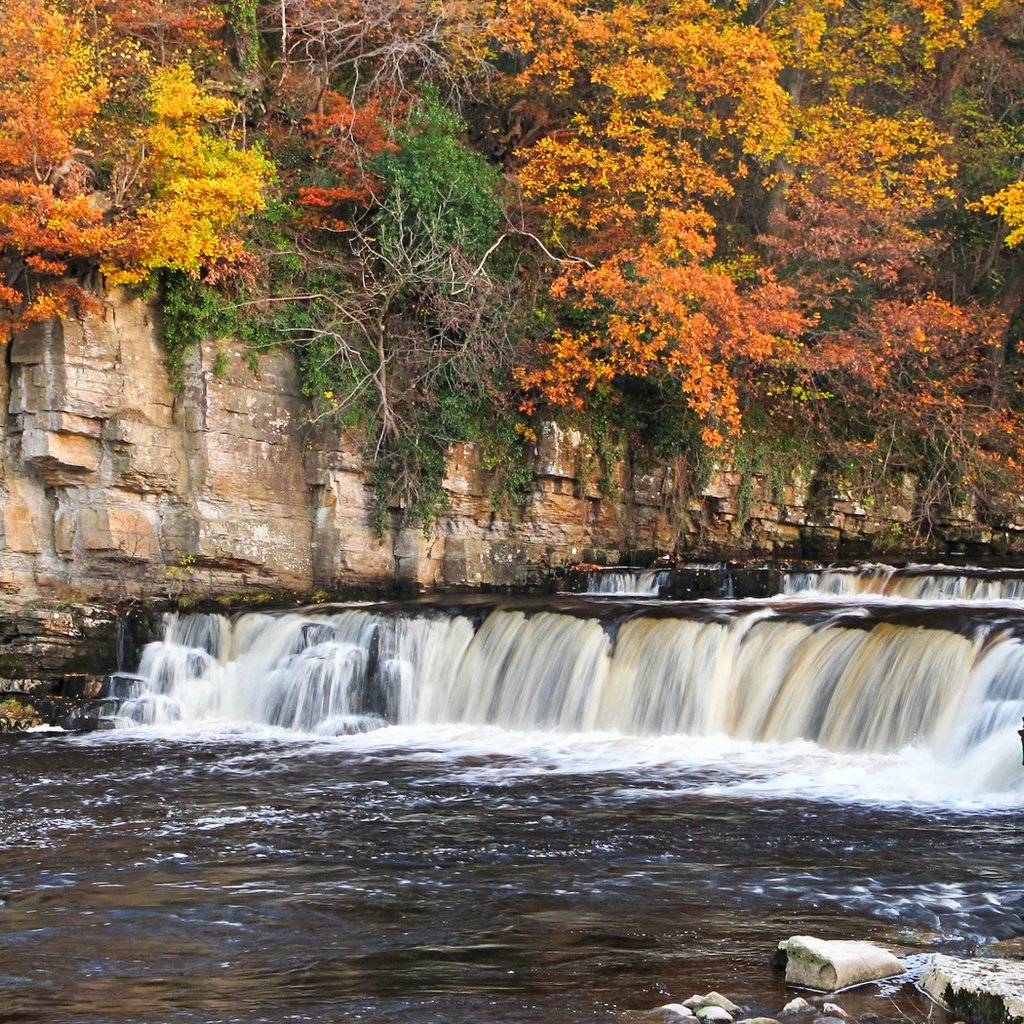 Обои деревья, река, горы, скалы, пороги, осень, richmond falls, trees, river, mountains, rocks, thresholds, autumn разрешение 1920x1101 Загрузить