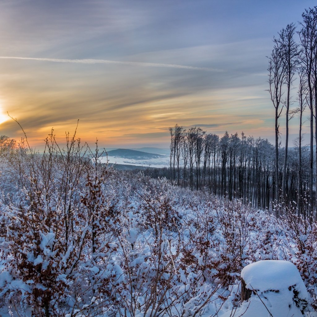 Обои небо, деревья, солнце, снег, природа, закат, зима, the sky, trees, the sun, snow, nature, sunset, winter разрешение 2880x1920 Загрузить