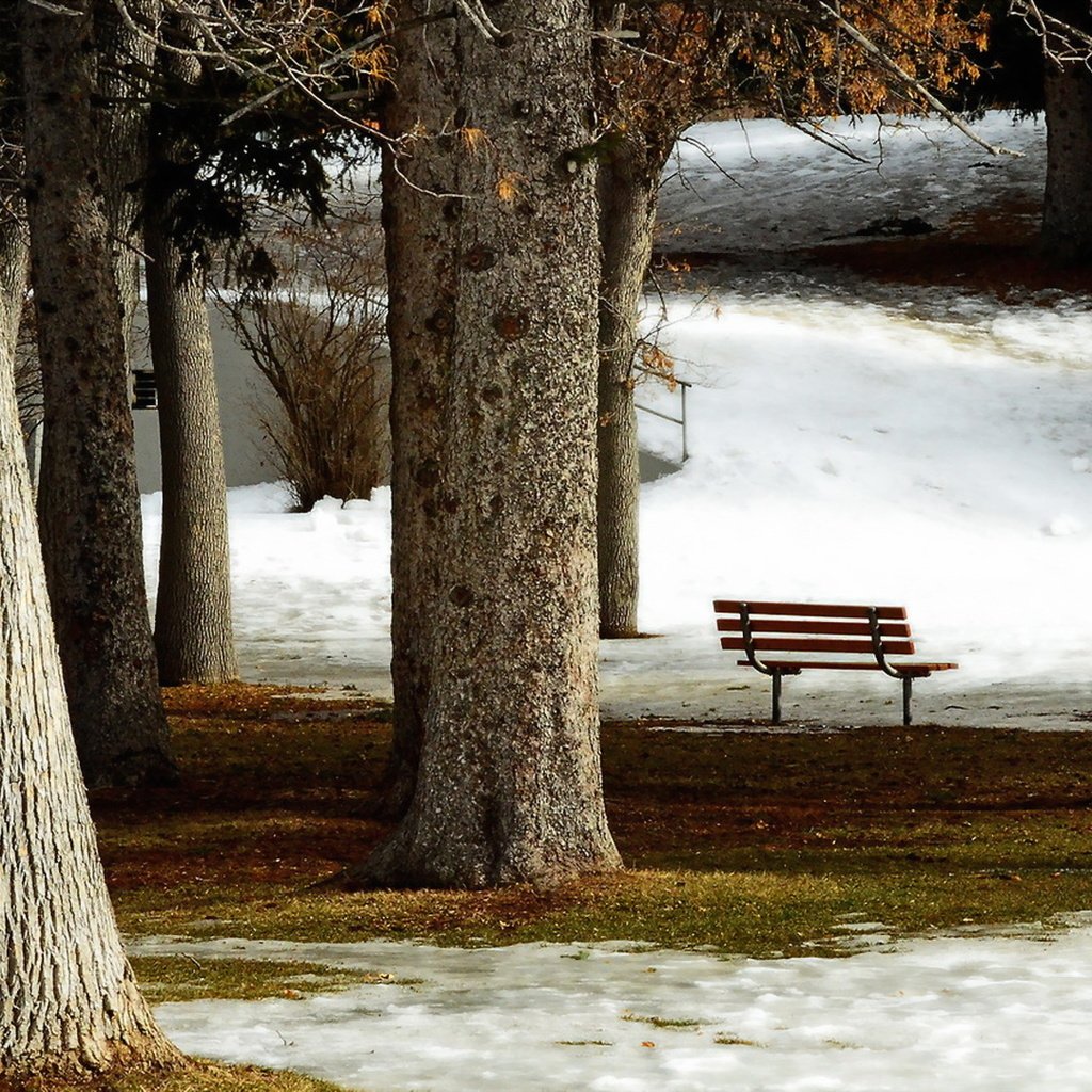 Обои парк, город, скамья, park, the city, bench разрешение 2050x1080 Загрузить