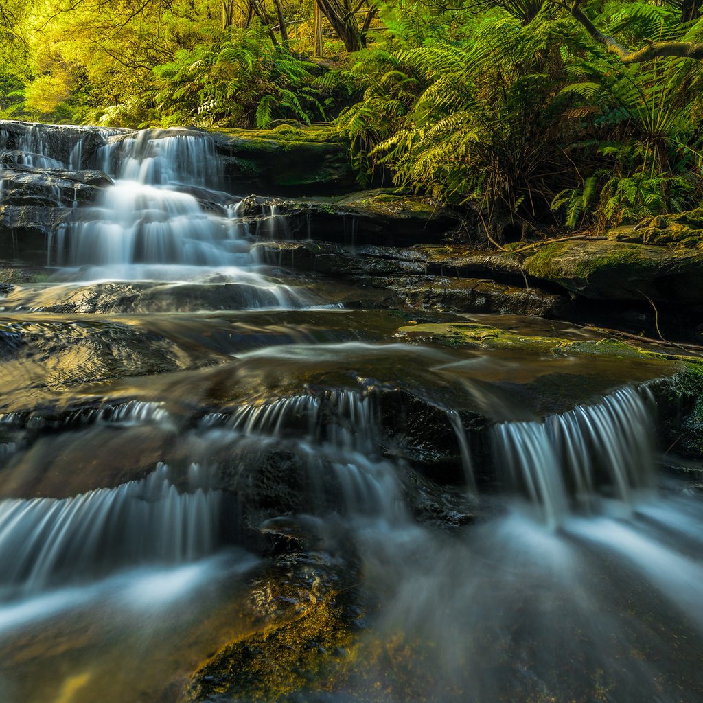 Обои вода, растения, водопад, поток, камень, мох, каскад, скалв, water, plants, waterfall, stream, stone, moss, cascade, scal разрешение 2048x1536 Загрузить