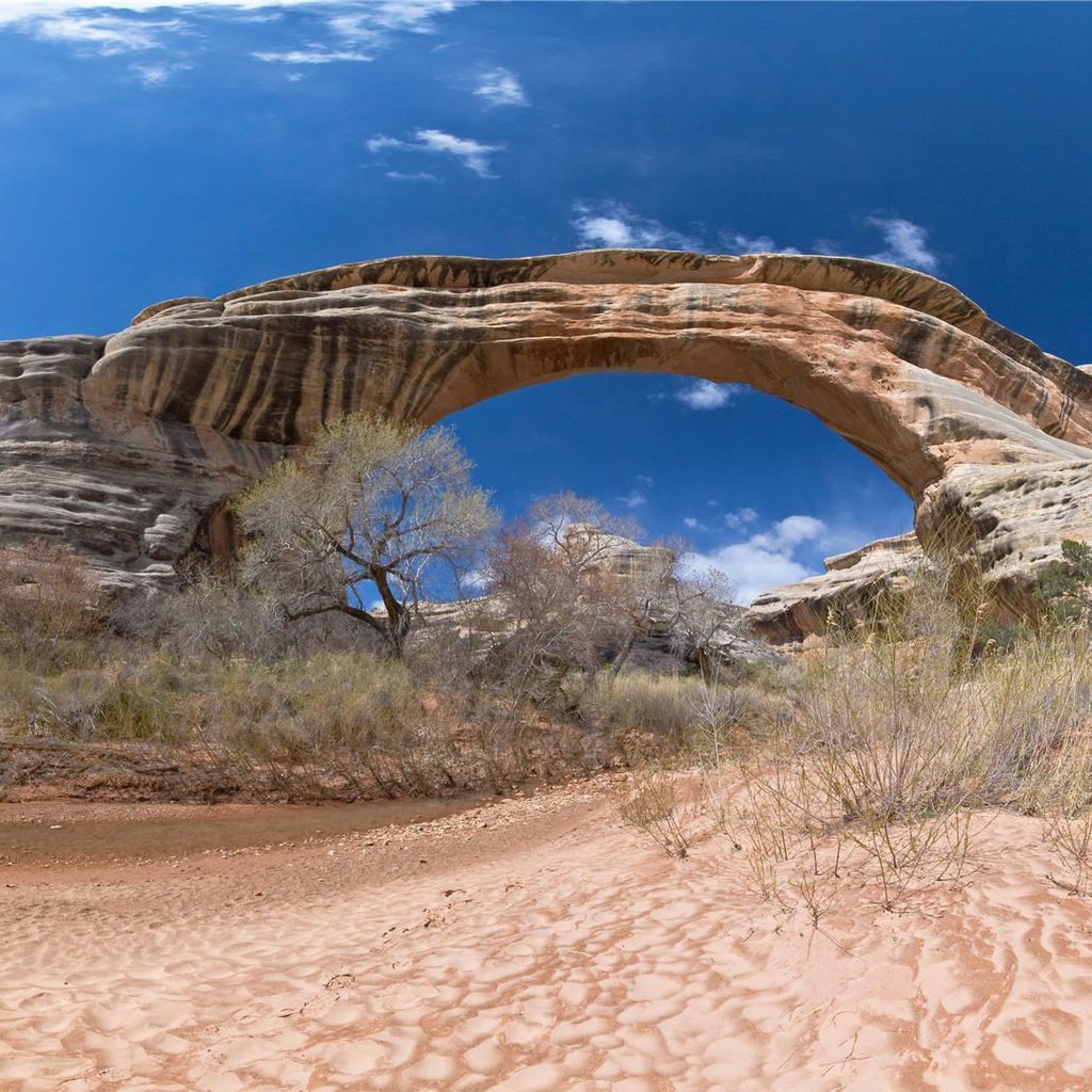 Обои небо, скалы, кусты, сша, арка, национальный парк арки, uta, the sky, rocks, the bushes, usa, arch, arches national park разрешение 1920x1080 Загрузить