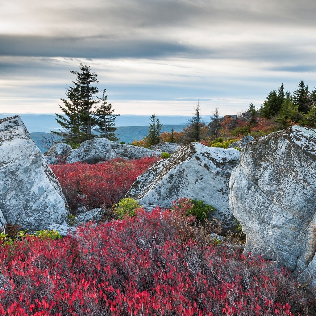 Обои горы, медвежьи скалы, mountains, bear rocks разрешение 1920x1080 Загрузить