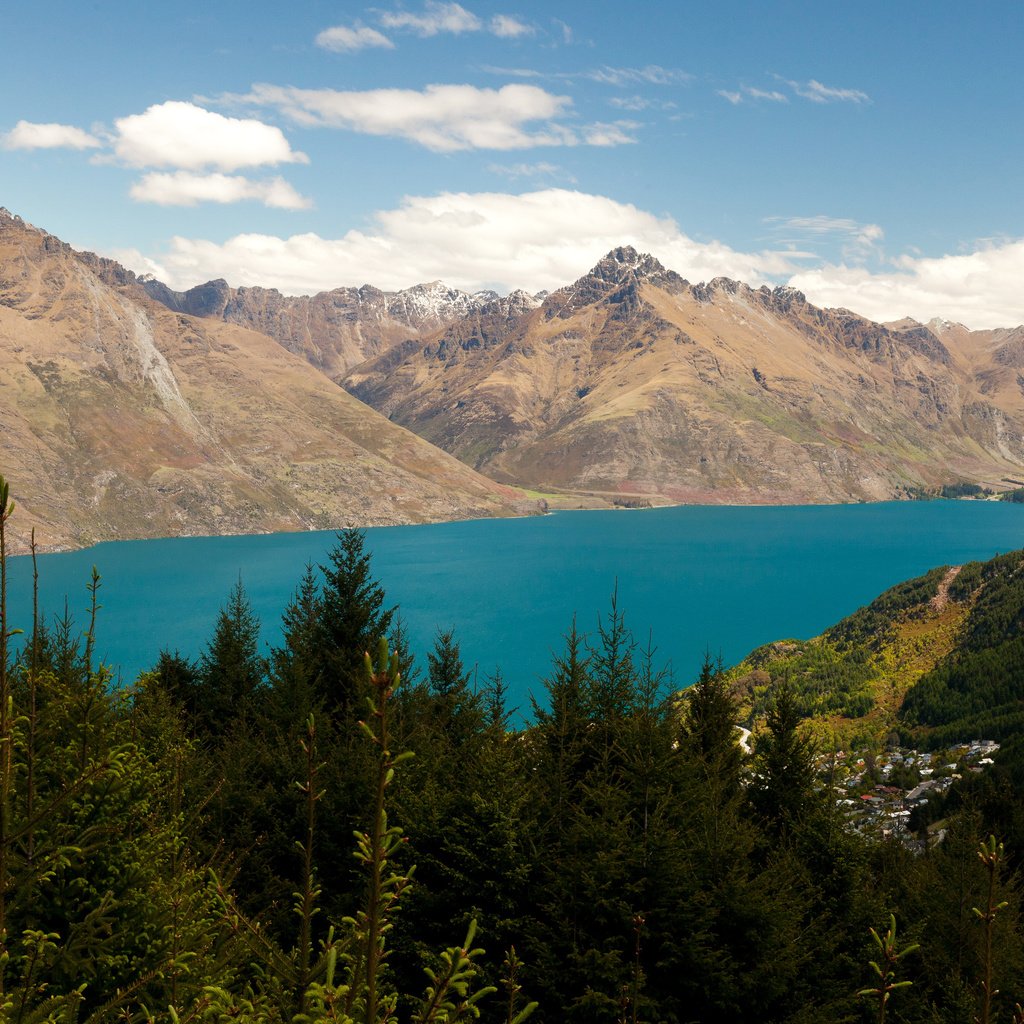 Обои горы, море, сосны, ель, норвегия, mountains, sea, pine, spruce, norway разрешение 3600x2400 Загрузить