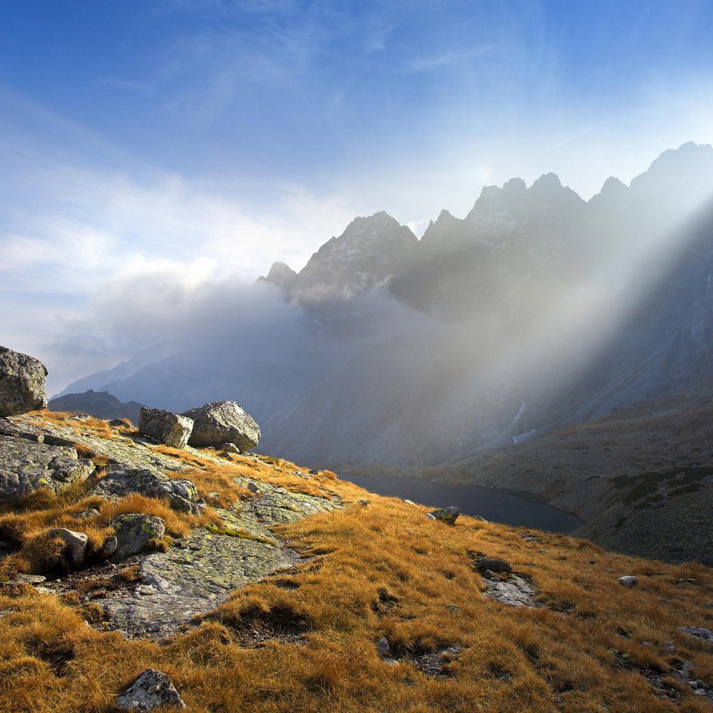 Обои горы, солнце, камни, растения, лучи, mountains, the sun, stones, plants, rays разрешение 1920x1080 Загрузить