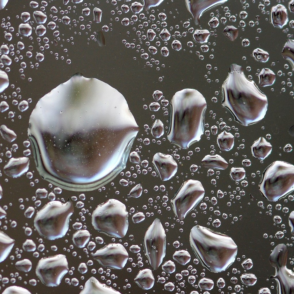 Обои вода, фон, капли, стекло, water, background, drops, glass разрешение 2972x1997 Загрузить