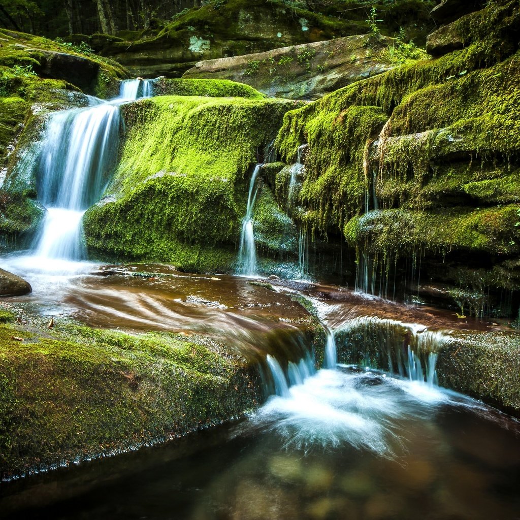 Обои камни, водопад, мох, stones, waterfall, moss разрешение 2880x1916 Загрузить