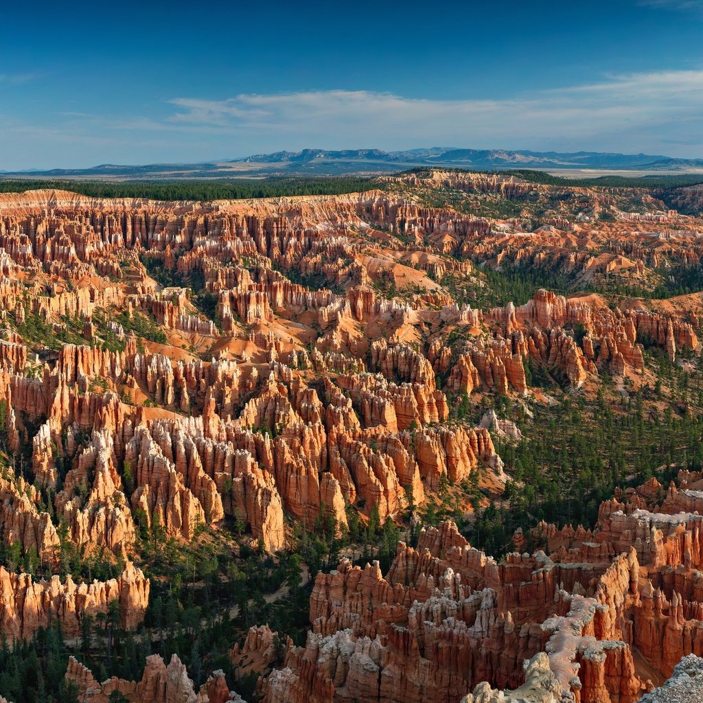 Обои скалы, природа, парк, bryce point, брайс каньон национальный парк, rocks, nature, park, bryce canyon national park разрешение 2880x1800 Загрузить