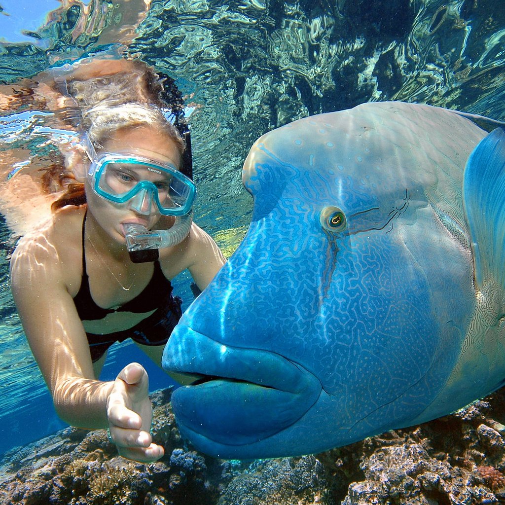 Обои девушка, океан, под водой, рыба, girl, the ocean, under water, fish разрешение 1920x1200 Загрузить