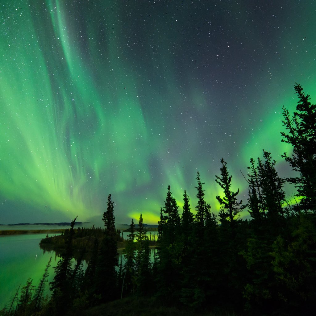 Обои небо, деревья, озеро, северное сияние, силуэты, aurora borealis, северные огни, the sky, trees, lake, northern lights, silhouettes разрешение 2048x1367 Загрузить