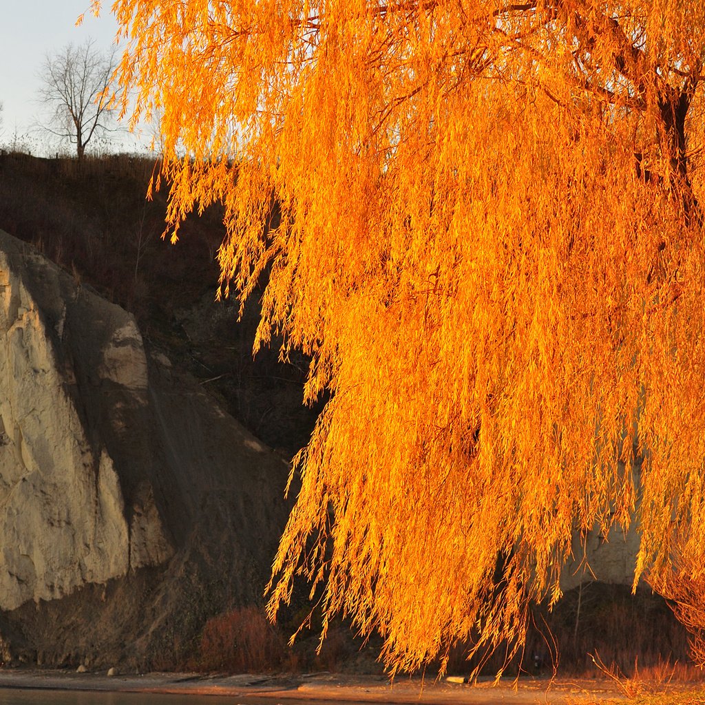 Обои небо, дерево, скала, осень, the sky, tree, rock, autumn разрешение 2048x1360 Загрузить