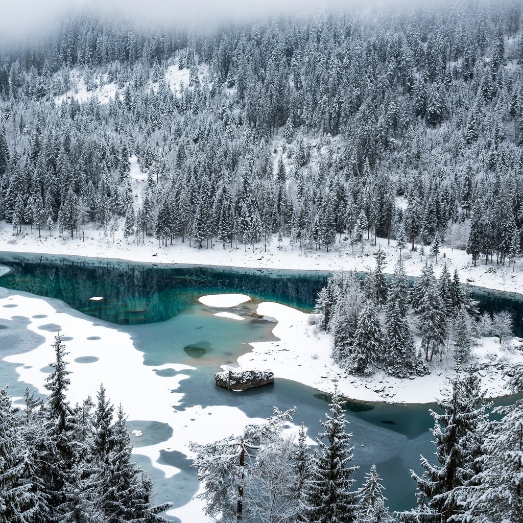 Обои снег, лес, зима, швейцария, озеро каума, флимс, snow, forest, winter, switzerland, lake cauma, flims разрешение 3000x2003 Загрузить