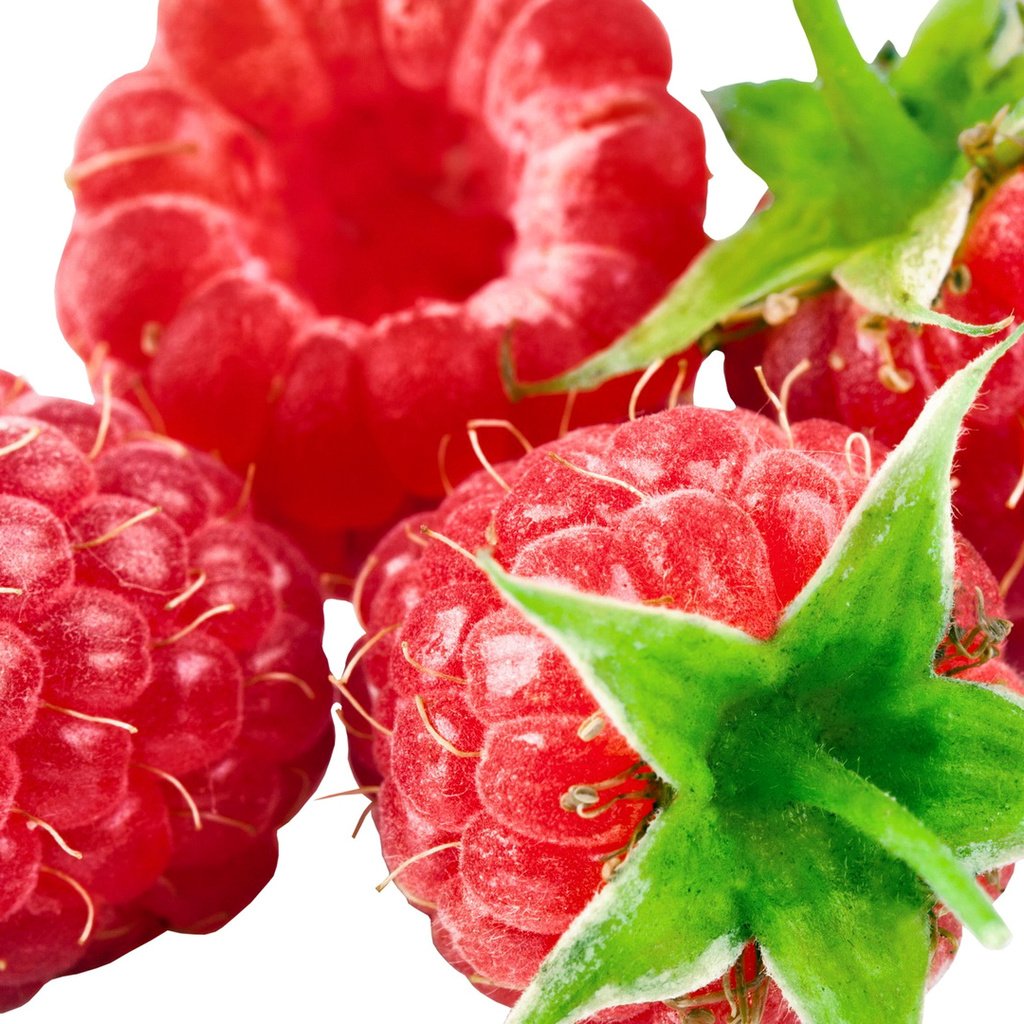 Обои малина, еда, ягоды, raspberry, food, berries разрешение 1920x1080 Загрузить