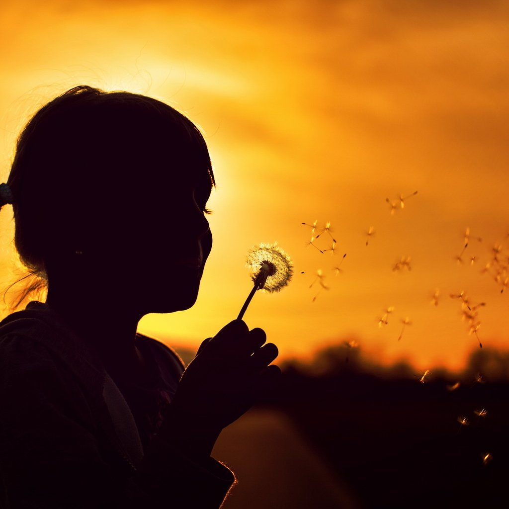 Обои природа, закат, девочка, силуэт, одуванчик, детство, nature, sunset, girl, silhouette, dandelion, childhood разрешение 2560x1600 Загрузить