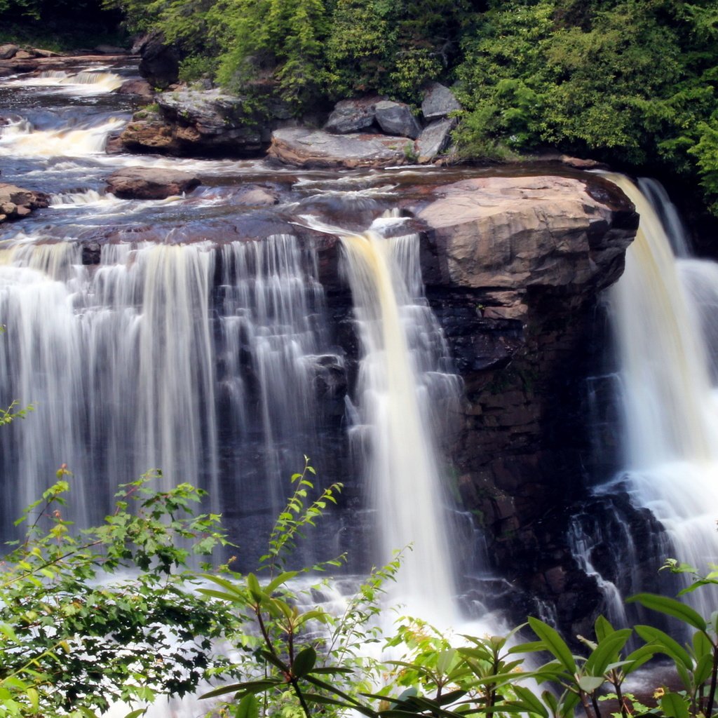 Обои камни, the park is blackwater fall, зелень, листья, ручей, ветки, водопад, сша, blackwater falls state park, парк блэкуотер-фолс, the park is blackwater falls, stones, greens, leaves, stream, branches, waterfall, usa разрешение 2160x1440 Загрузить