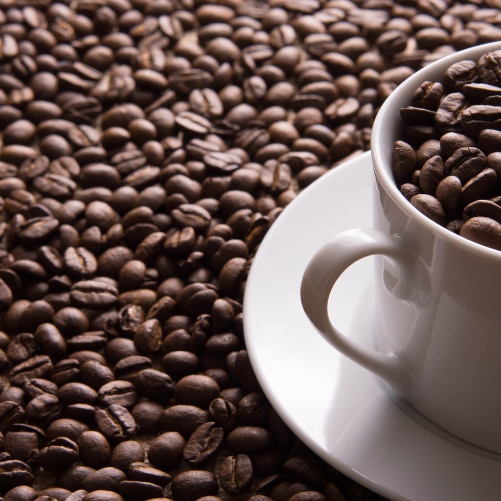 Обои зерна, кофе, чашка, кофейные, кофейные зерна, grain, coffee, cup, coffee beans разрешение 3000x2000 Загрузить