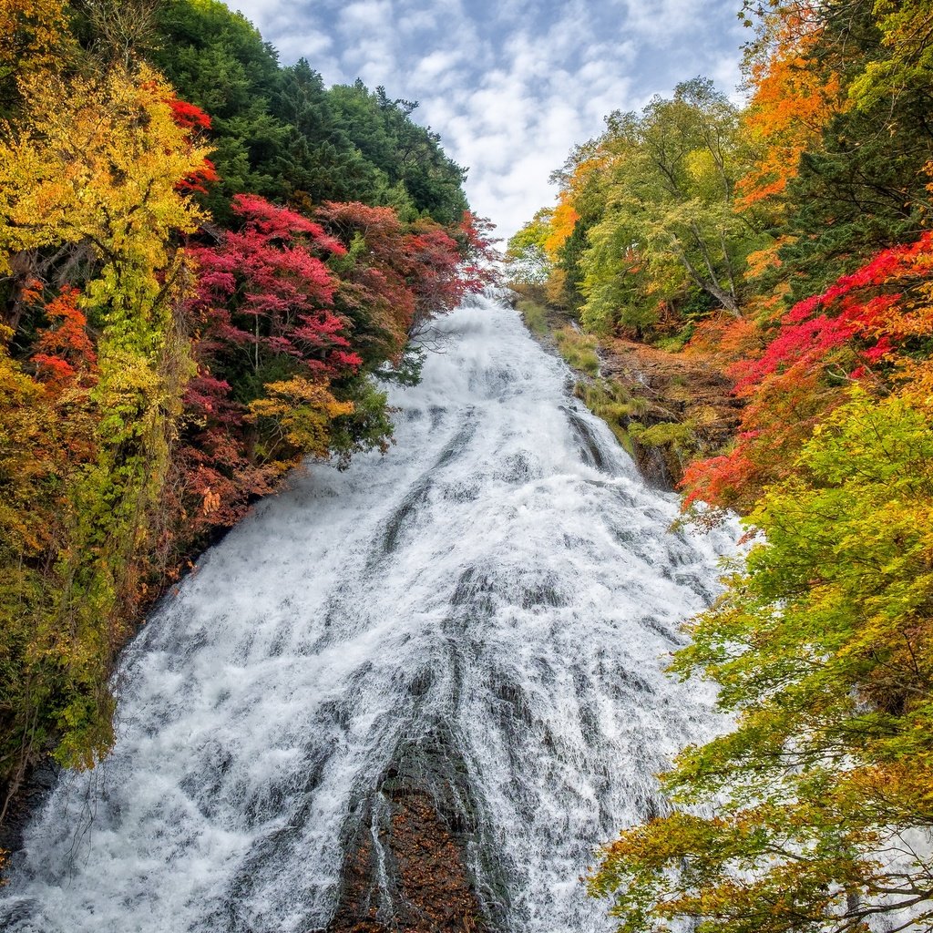 Обои деревья, пейзаж, водопад, осень, япония, yudaki waterfall, trees, landscape, waterfall, autumn, japan разрешение 2880x1920 Загрузить