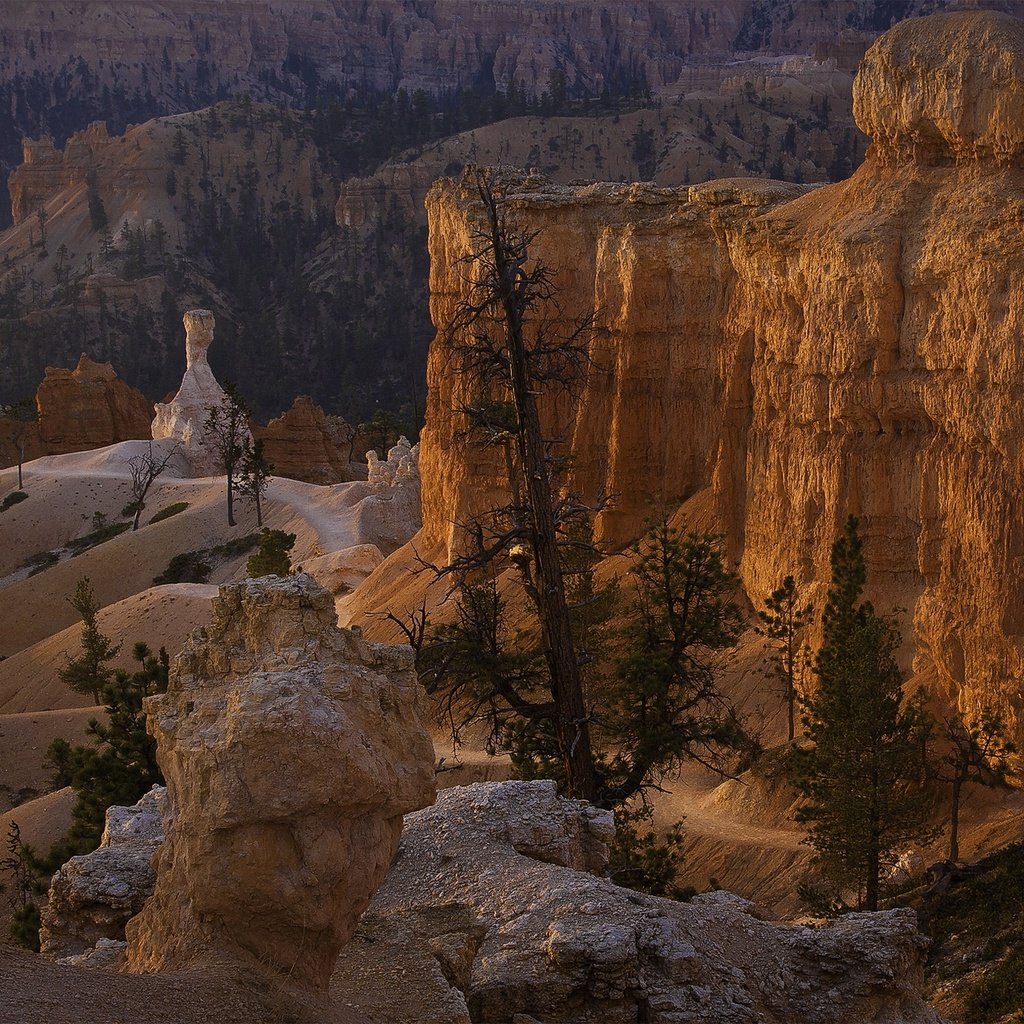 Обои горы, скалы, пейзаж, штат юта, брайс каньон национальный парк, mountains, rocks, landscape, utah, bryce canyon national park разрешение 1920x1393 Загрузить