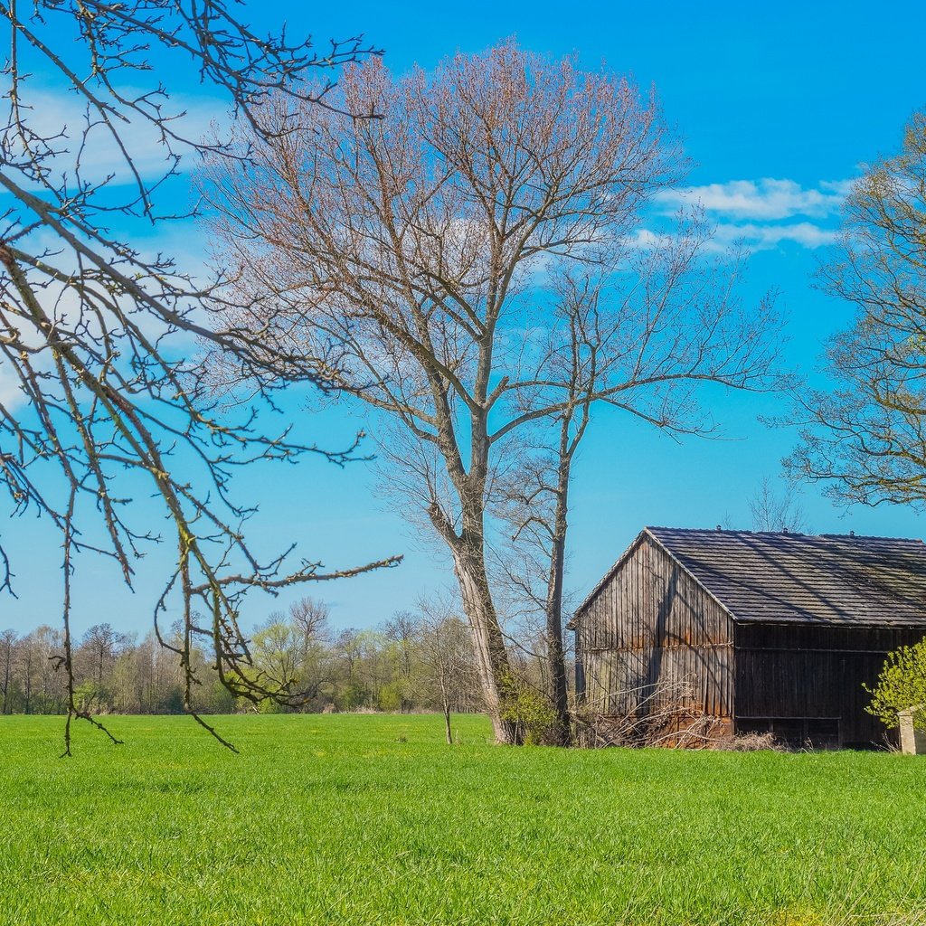 Обои деревья, пейзаж, поле, дом, trees, landscape, field, house разрешение 2880x1917 Загрузить