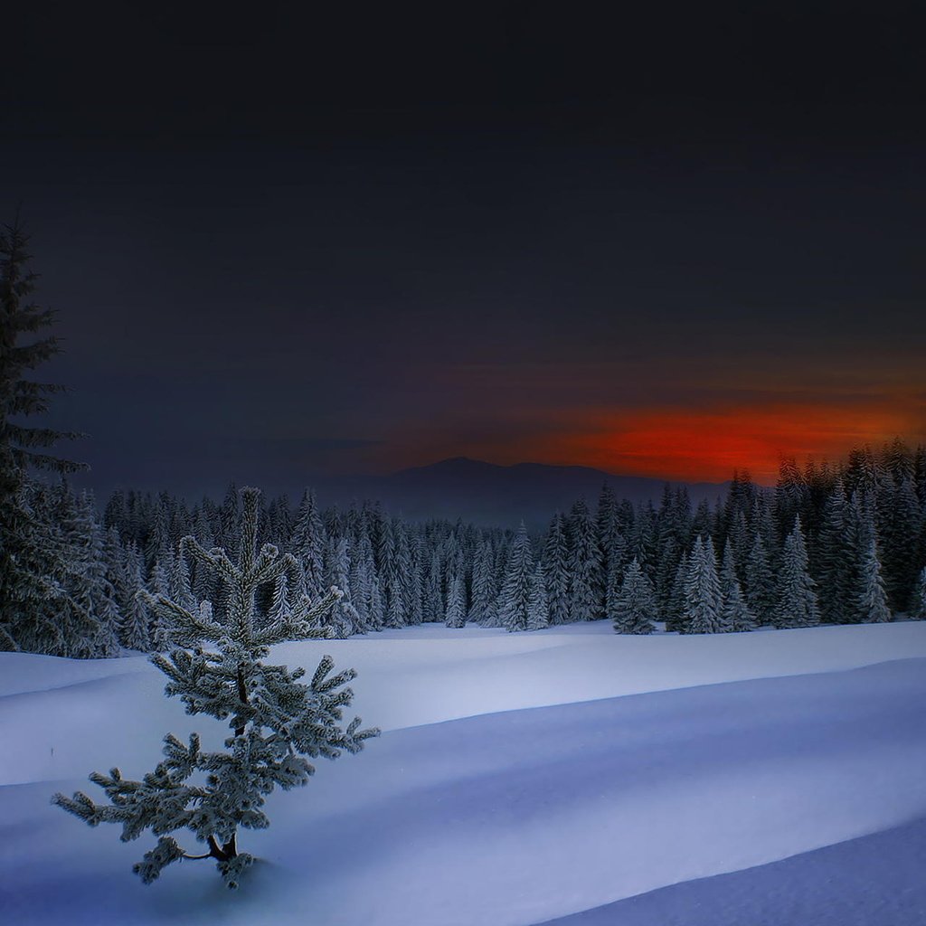 Обои обои, закат, зима, болгария, wallpaper, sunset, winter, bulgaria разрешение 1920x1200 Загрузить