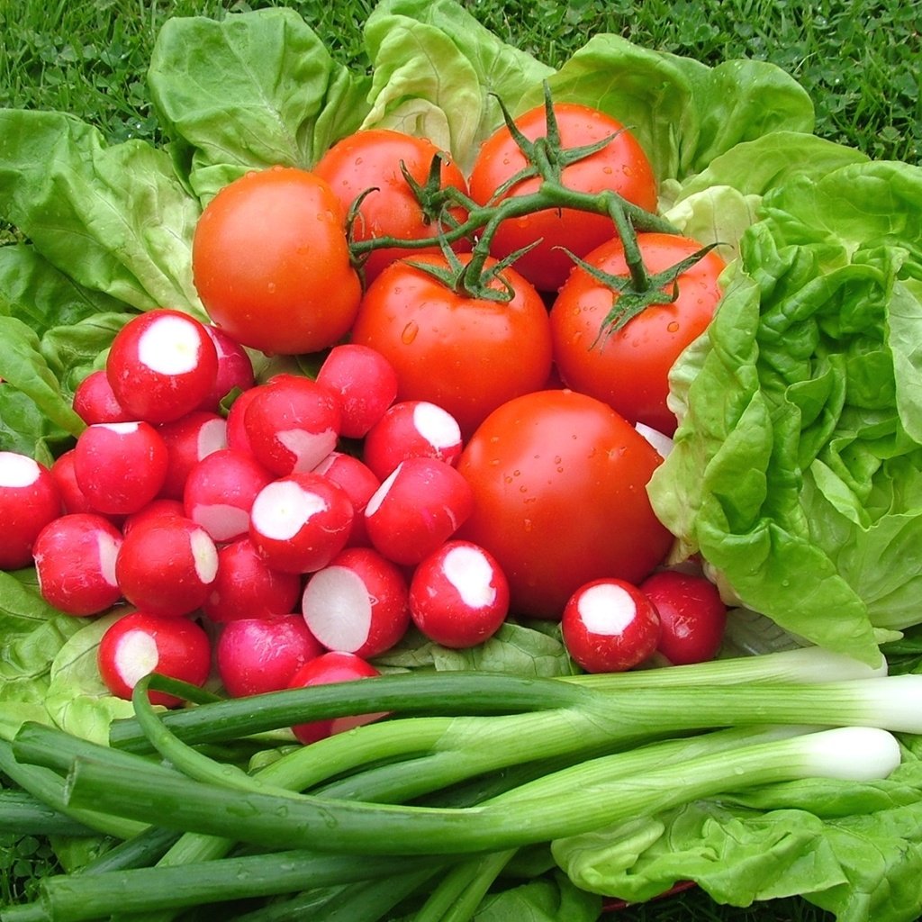 Обои лук, овощи, помидоры, салат, редис, bow, vegetables, tomatoes, salad, radishes разрешение 1920x1265 Загрузить