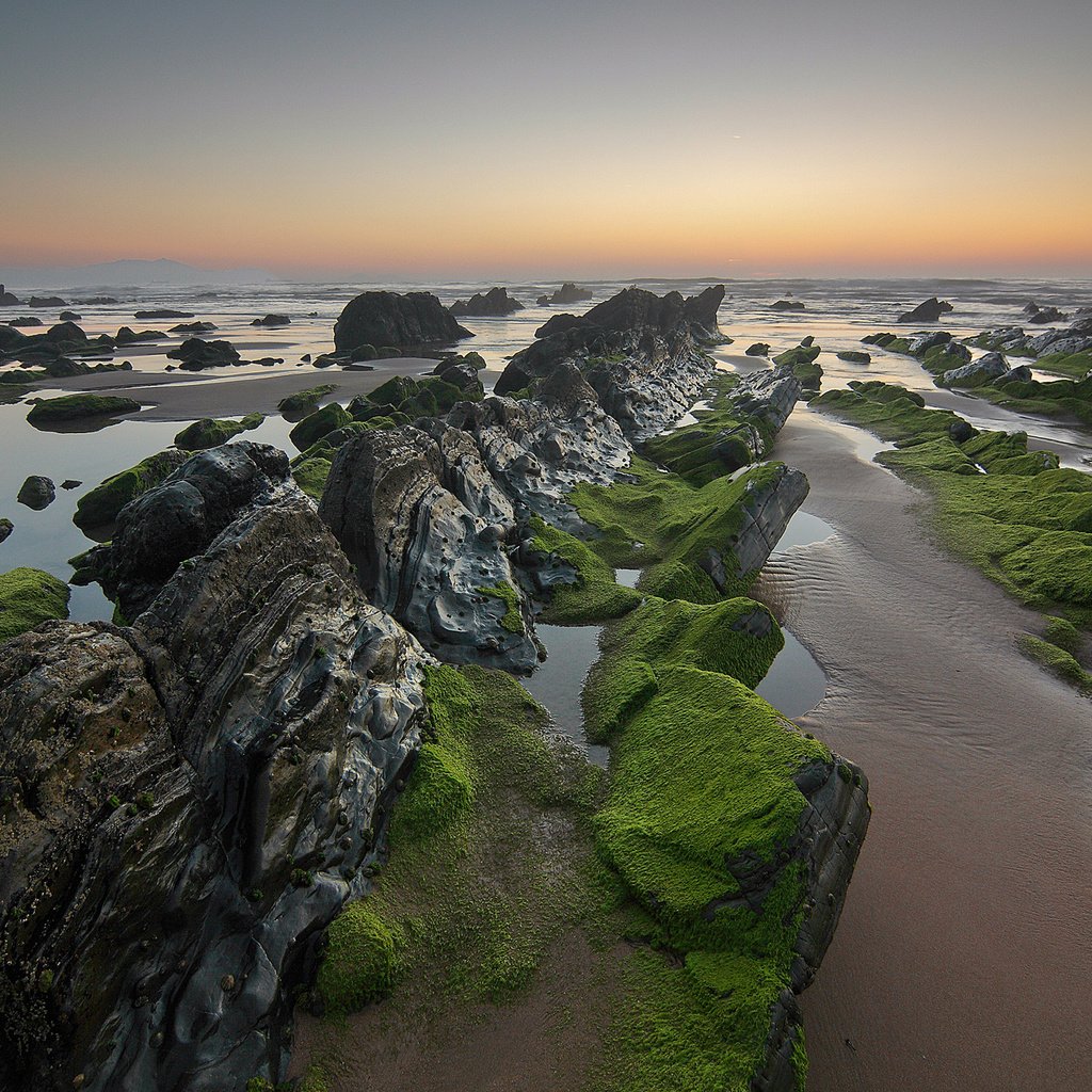 Обои скалы, камни, море, пляж, водоросли, rocks, stones, sea, beach, algae разрешение 2048x1364 Загрузить