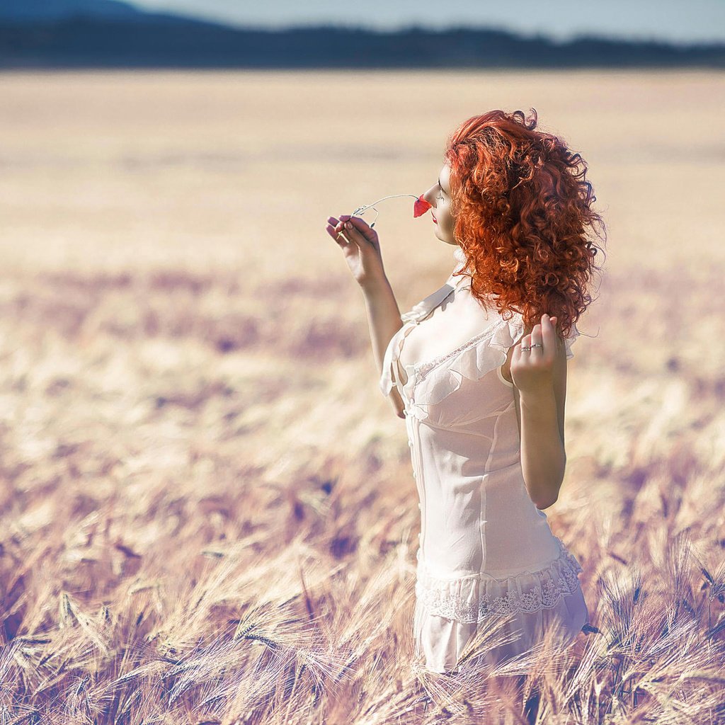 Обои солнце, девушка, поле, лето, цветочек, рыжеволосая, the sun, girl, field, summer, flower, redhead разрешение 2048x1367 Загрузить