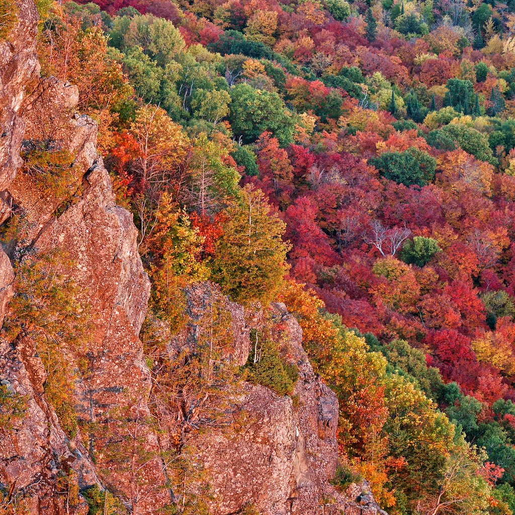 Обои деревья, скалы, лес, осень, сша, багрянец, мичиган, чиппева, trees, rocks, forest, autumn, usa, the crimson, michigan, chippewa разрешение 2048x1365 Загрузить